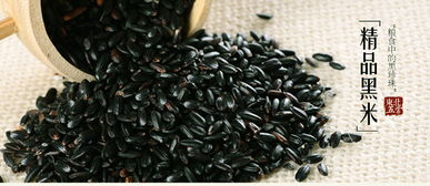 东北特产 农家笨种 五谷杂粮 新粮 绿色黑米 400g 2袋装 包邮 福卡商城
